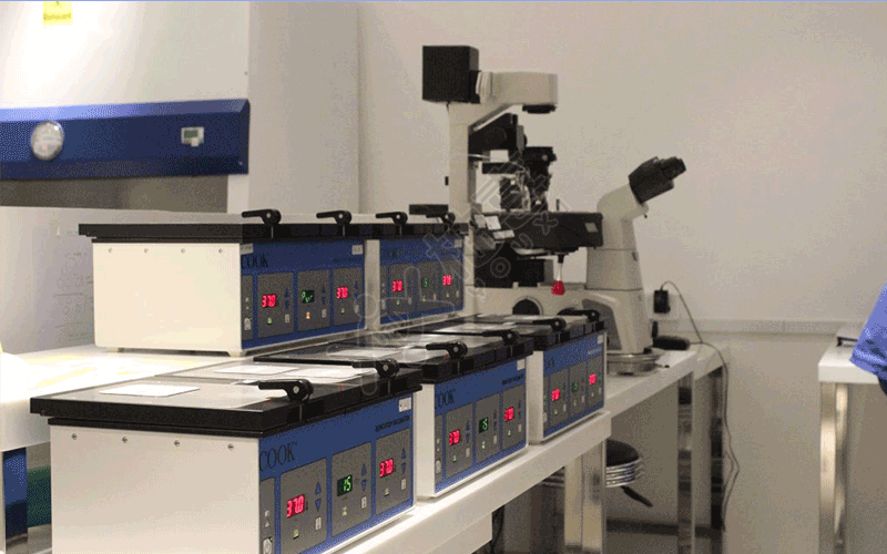 胚胎检测仪器