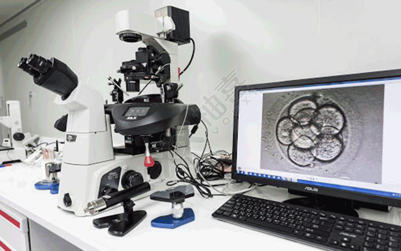 胚胎观察器
