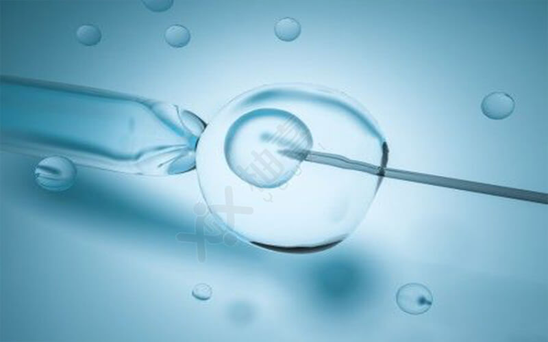 移植囊胚成功经验有哪些