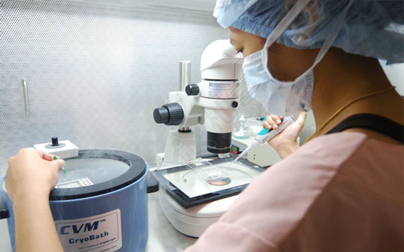 胚胎实验室
