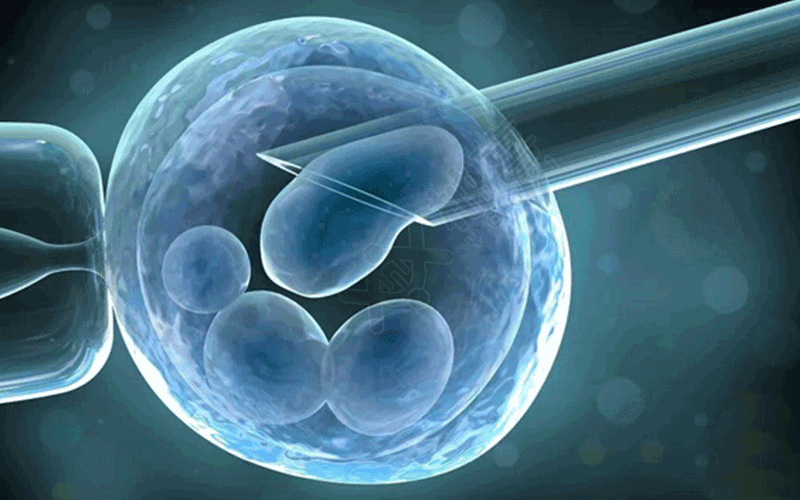 3cc囊胚可以移植吗