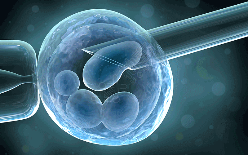 超长方案促排后是可以直接进行鲜胚移植的