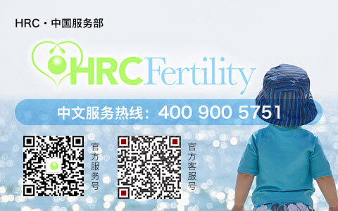 HRC（中国）服务部