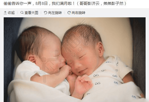 杨采妮生了双胞胎