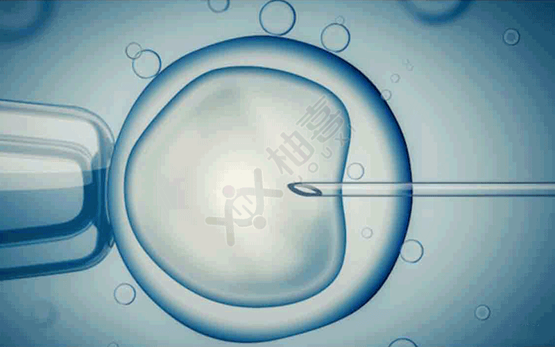 胚胎植入前筛查即第一代试管婴儿