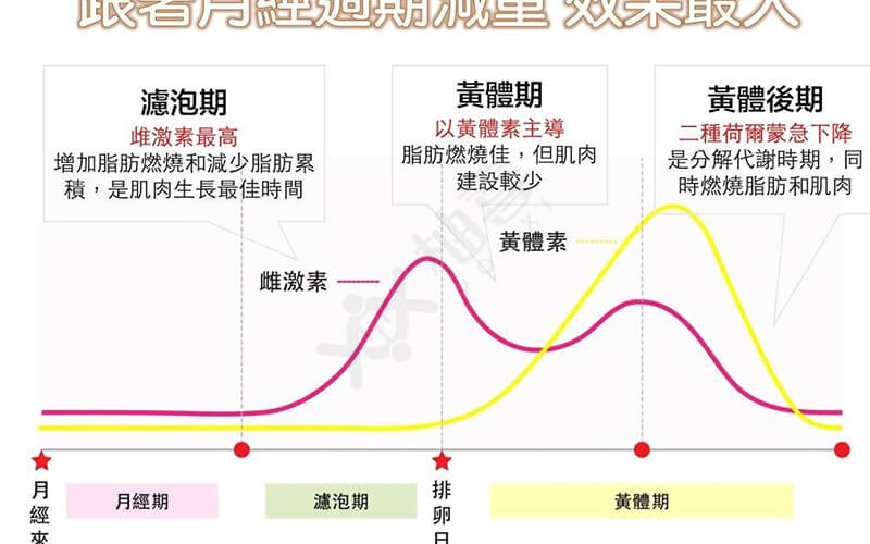 女性黄体期是什么时候